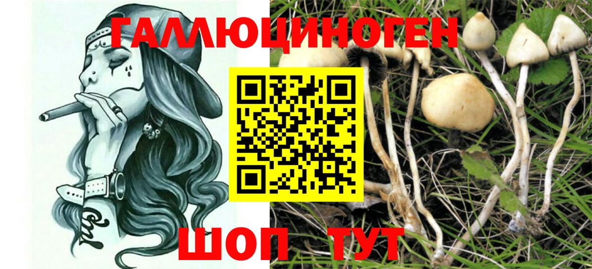 Вязники  Галлюциногенные грибы Psilocybine cubensis  Псилоцибиновые грибы ЛСД  Вход с VPN 