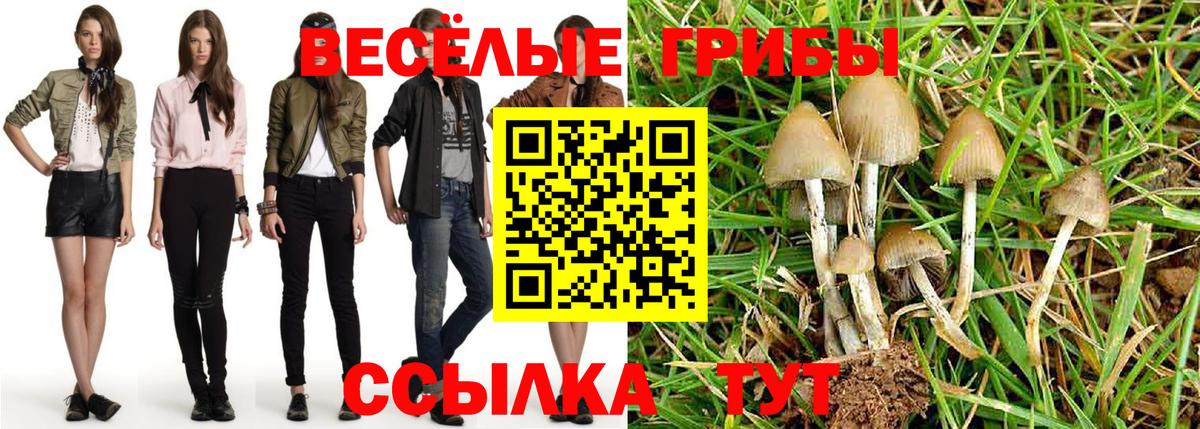 Псилоцибиновые грибы мицелий Вязники